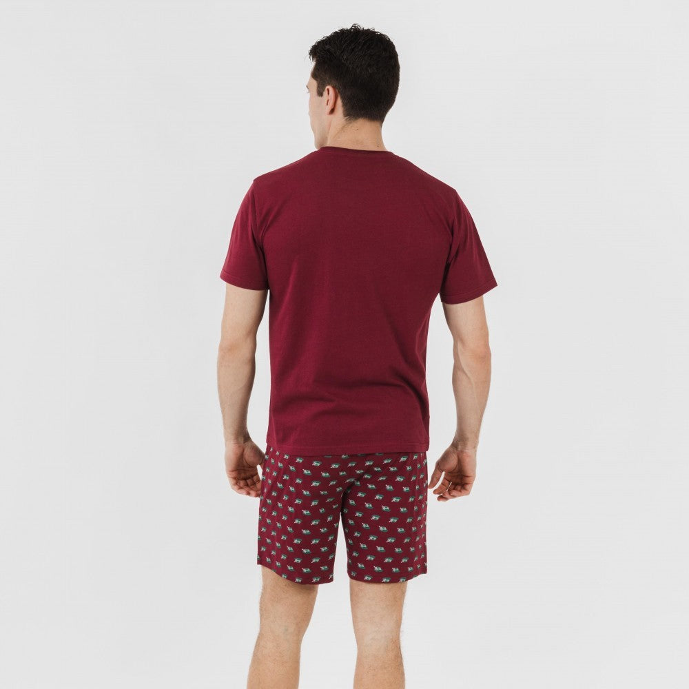 Pijama curto masculino de algodão, cor bordô Nino
