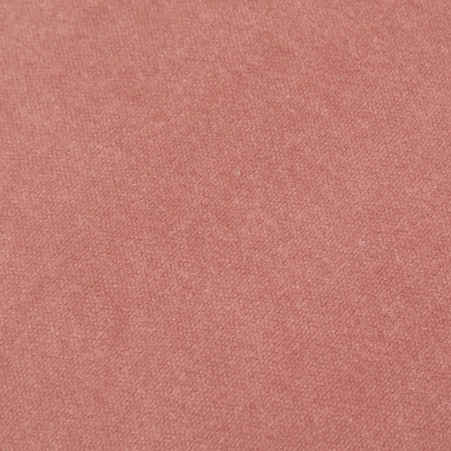 COJIN TERCIOPELO ALGODÓN - FUNDA + RELLENO